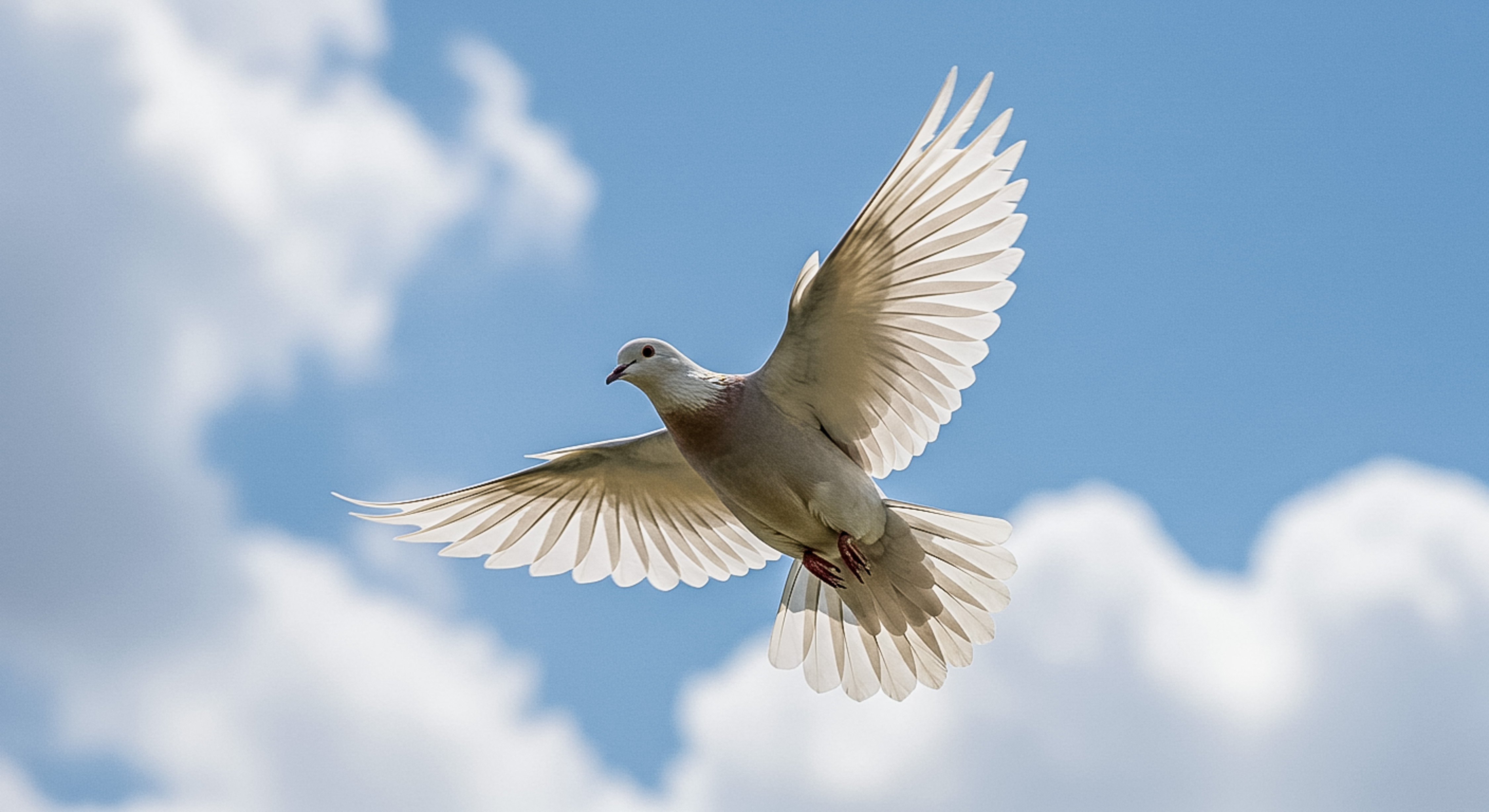 Freedom in Flight
