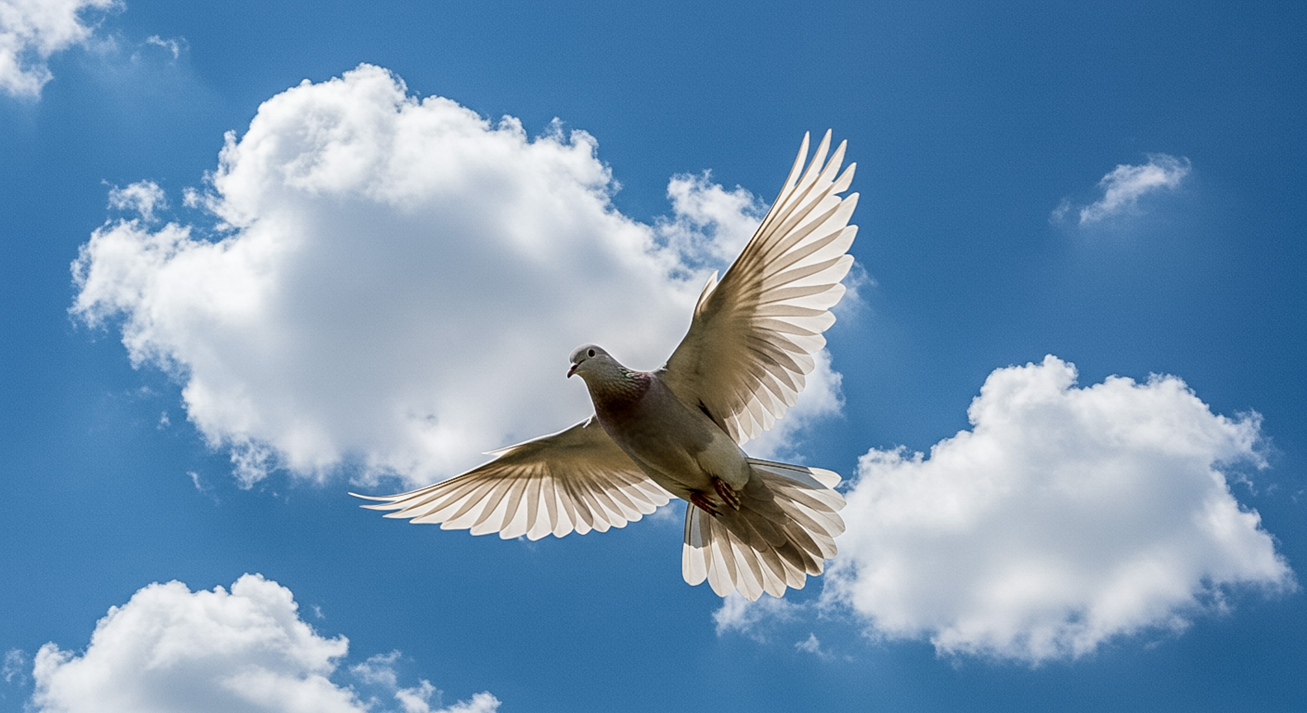Light as a Feather